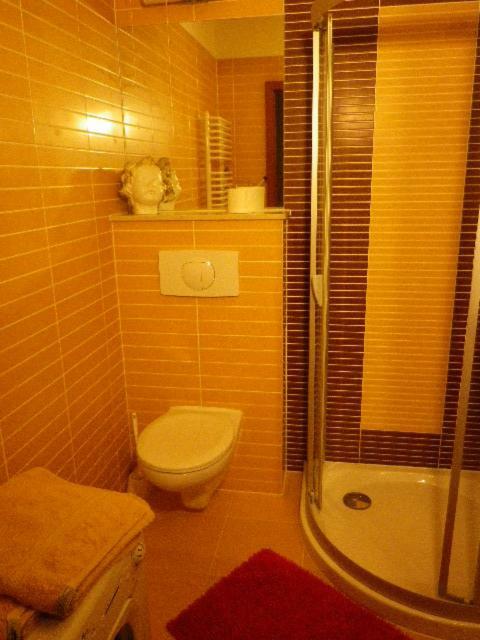Apartament U Ani ชวีโนวิชแจ ภายนอก รูปภาพ